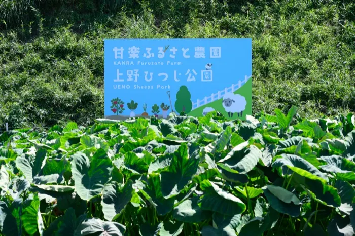 オーガニックビレッジを感じられる農村エリア