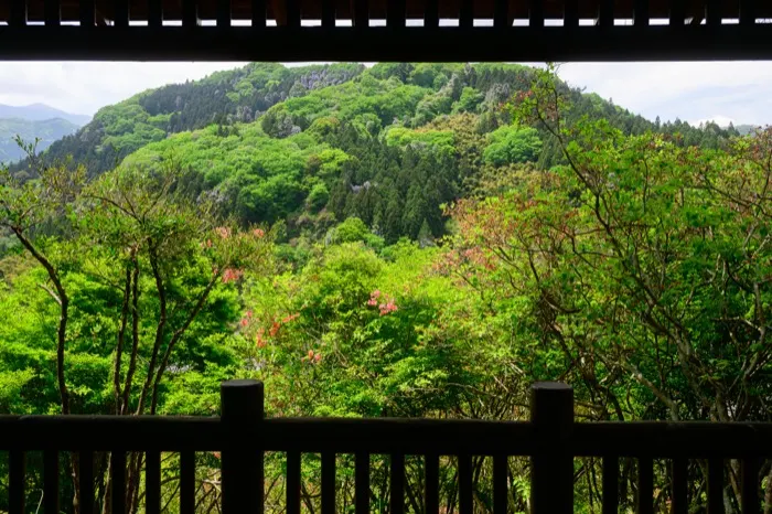 自然を感じ、古き良き暮らしを感じられる里山エリア
