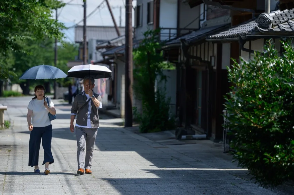 城下町小幡 桜並木の古い町並み散策