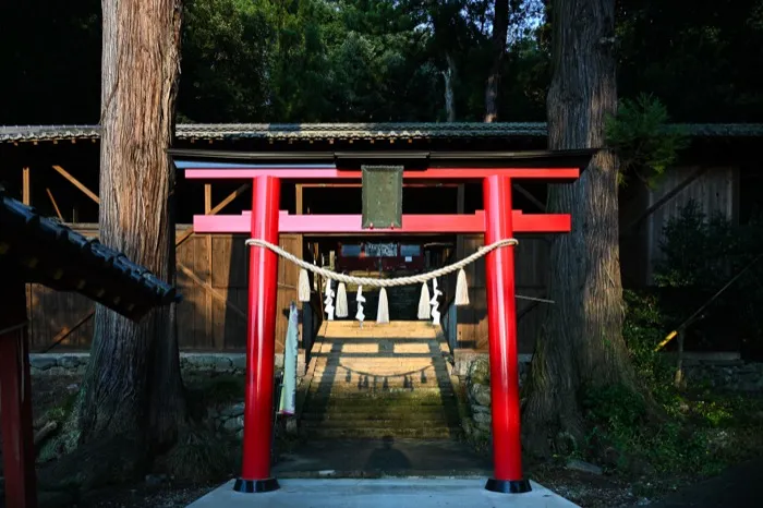 城下町小幡 桜並木の古い町並み散策