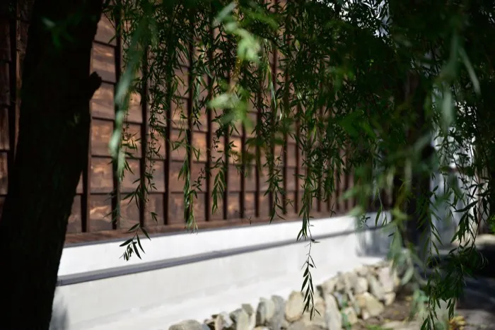 城下町小幡 桜並木の古い町並み散策